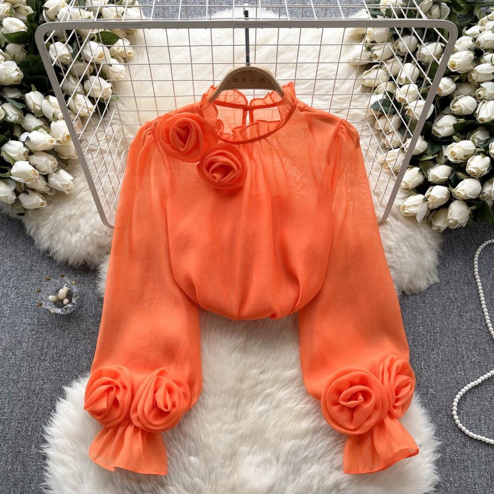 Chiffon Women Long-sleeve Top - Image 5